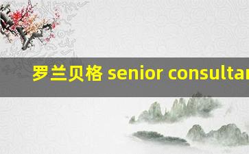 罗兰贝格 senior consultant